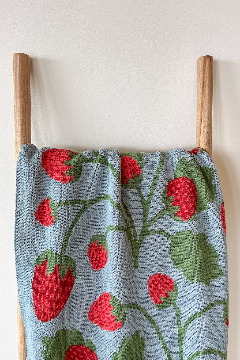 Strawberry Mini Blanket